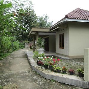 Hotel Omah View Sawah Yogyakarta Exterior photo