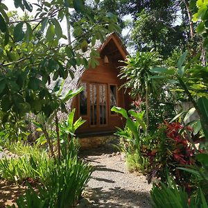 Coconut Tree Cottages Batukaras Exterior photo