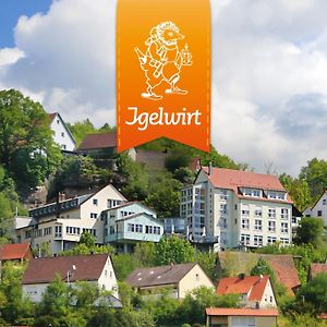 Berggasthof Hotel Igelwirt Schnaittach Exterior photo