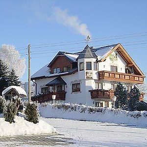 Hotel Alpenhof Markneukirchen Exterior photo