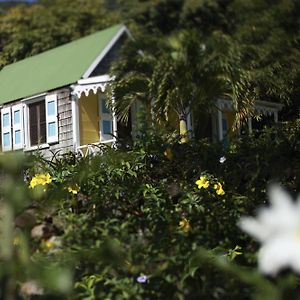 The Hermitage Nevis Exterior photo