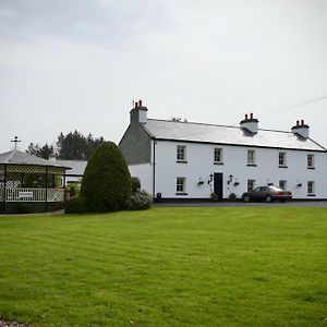 Cartron House Bed and Breakfast Ballinakill  Exterior photo