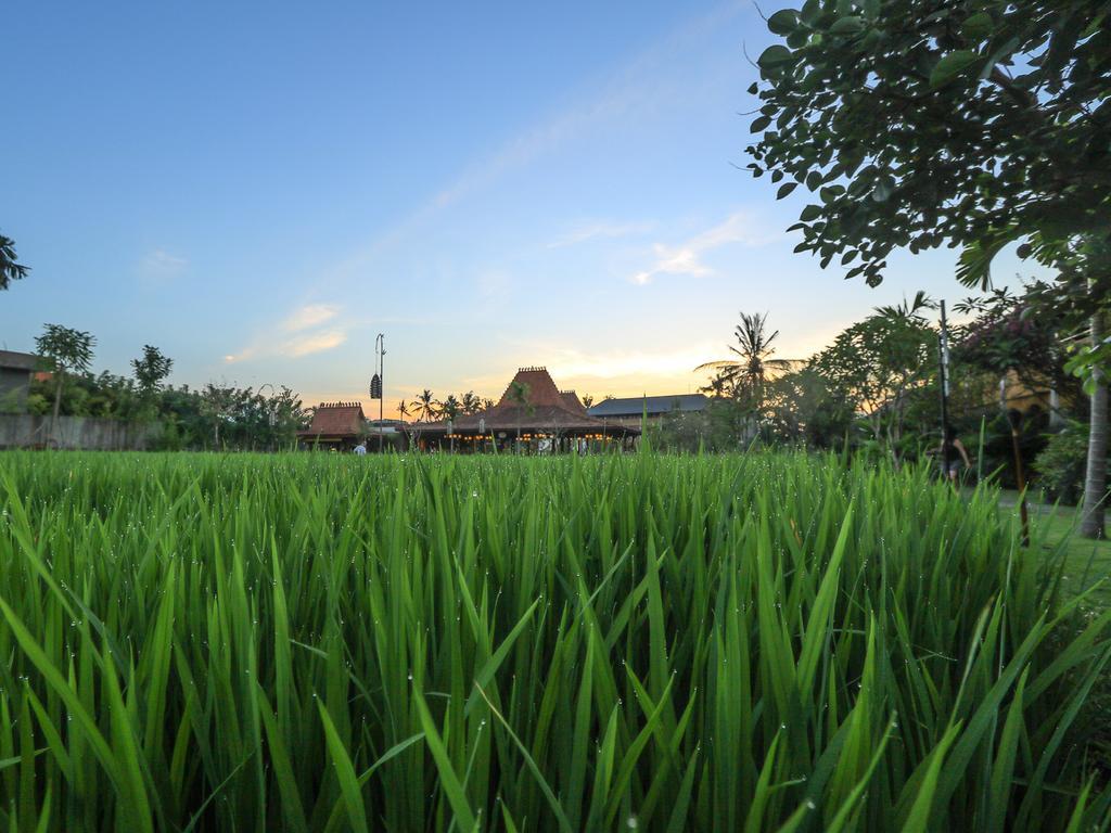 Alaya Resort Ubud Esterno foto