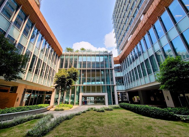 The University of Hong Kong photo