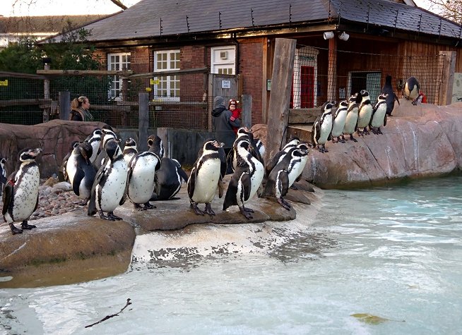 London Zoo photo