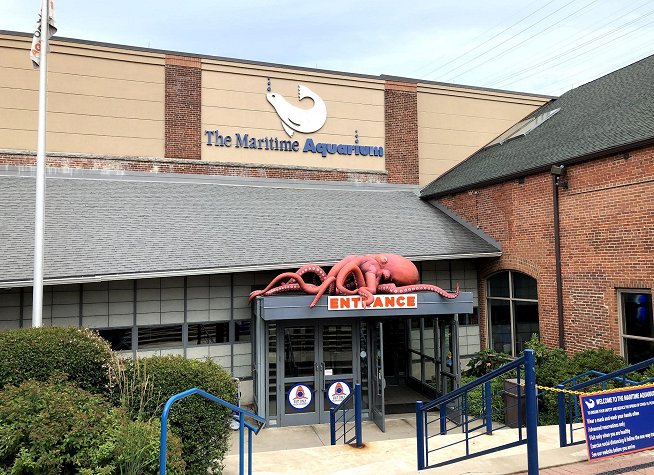 Maritime Aquarium at Norwalk photo
