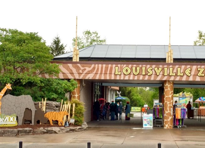 Louisville Zoo photo