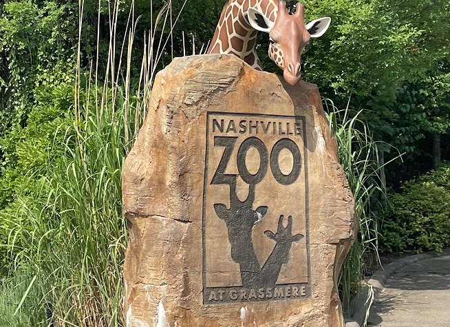 Nashville Zoo photo