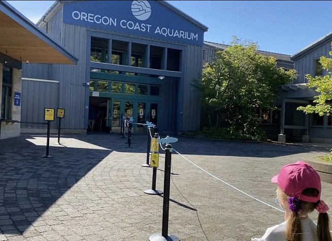 Oregon Coast Aquarium photo