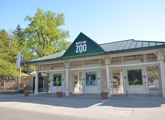 Baltimore Zoo photo