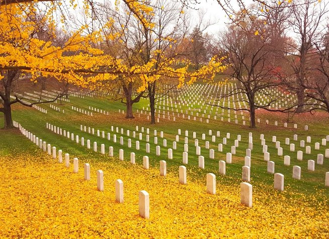 Arlington National Cemetery photo