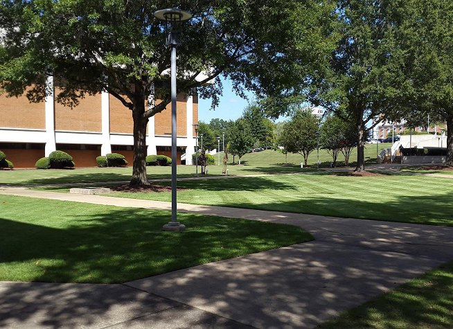 Auburn University at Montgomery photo