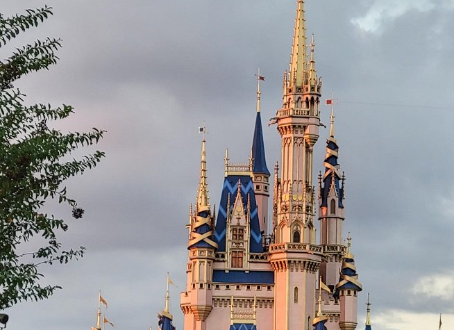 Disney's Magic Kingdom photo