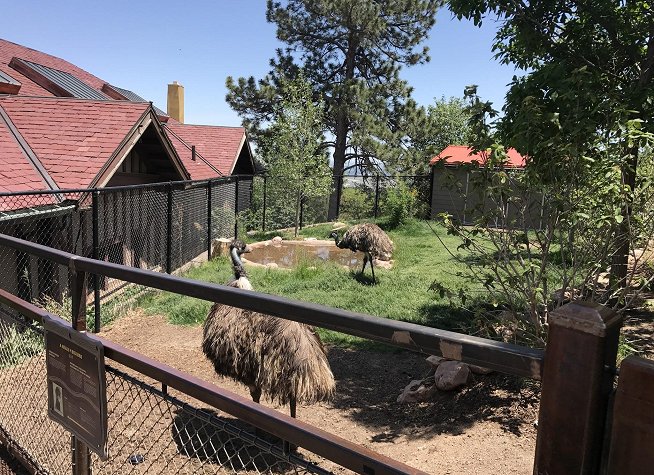 Cheyenne Mountain Zoo photo