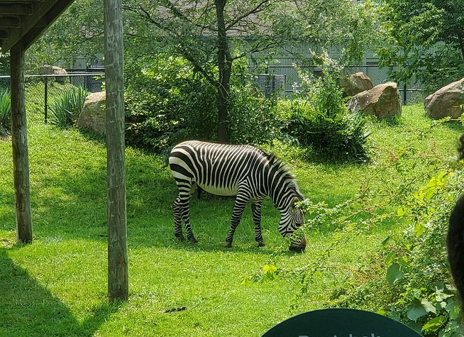 Cleveland Metroparks Zoo photo