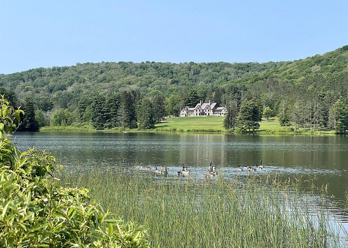 Allegany State Park photo