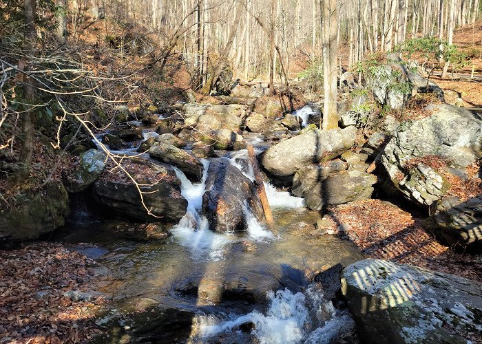 Anna Ruby Falls photo