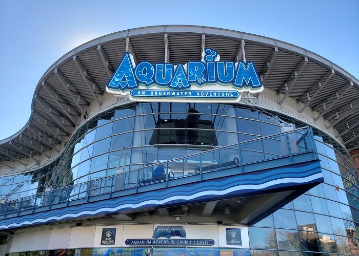 Downtown Aquarium photo