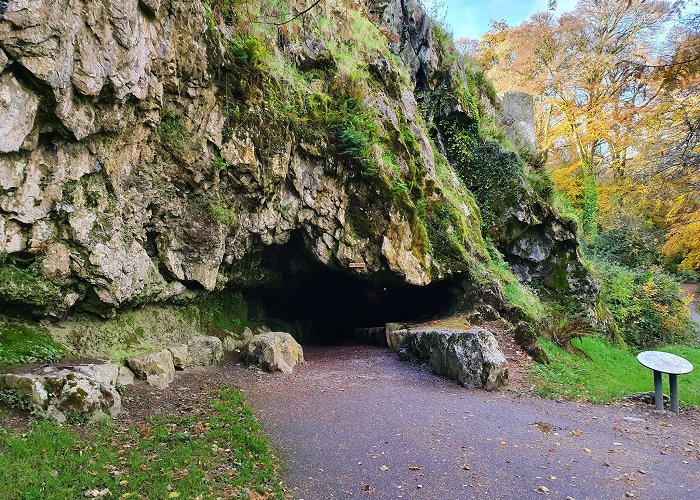 Blarney Castle photo