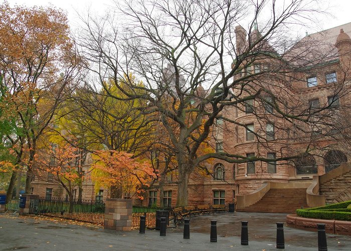 American Museum of Natural History photo