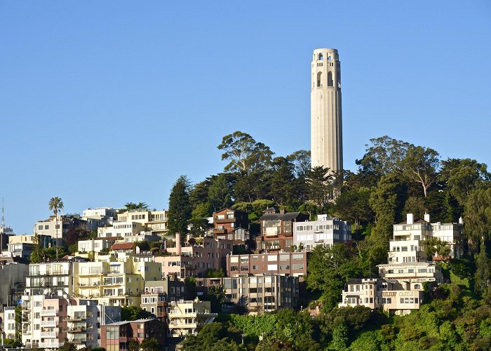 Coit Tower photo