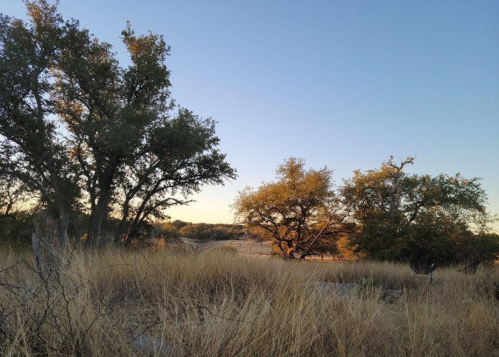 Colorado Bend State Park photo