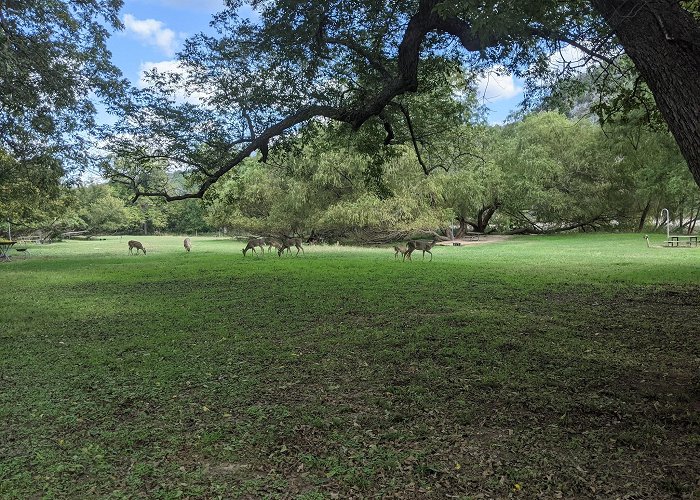 Colorado Bend State Park photo