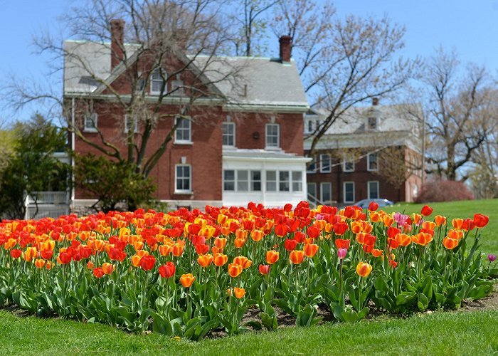 Fort Totten Park photo