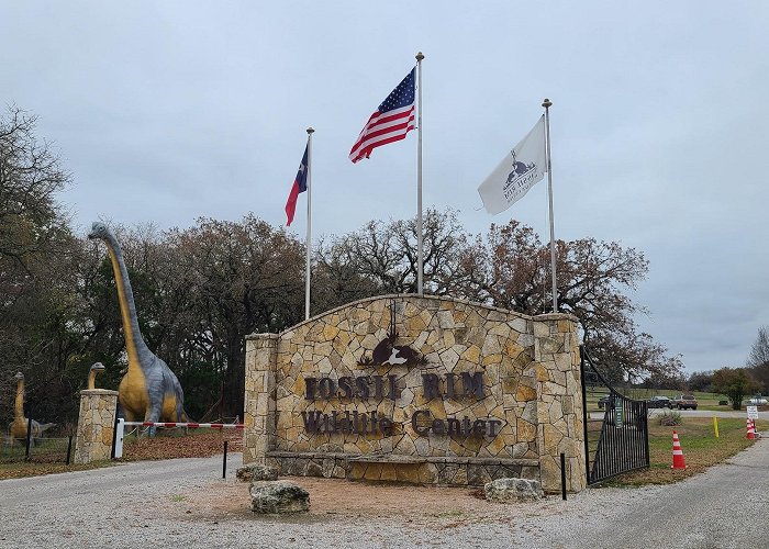 Fossil Rim Wildlife Center photo