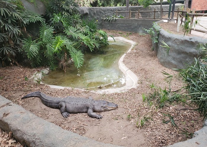 Fresno Chaffee Zoo photo