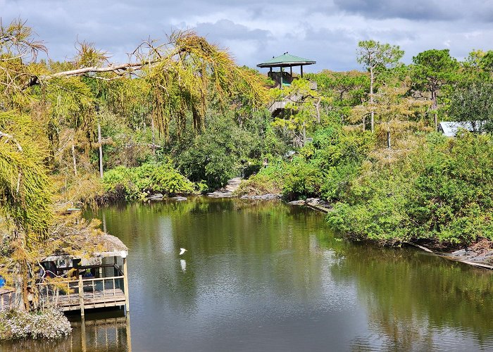 Gatorland photo