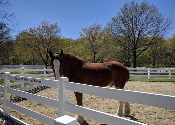 Grant's Farm photo