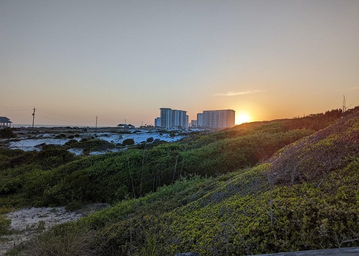 Henderson Beach State Park photo