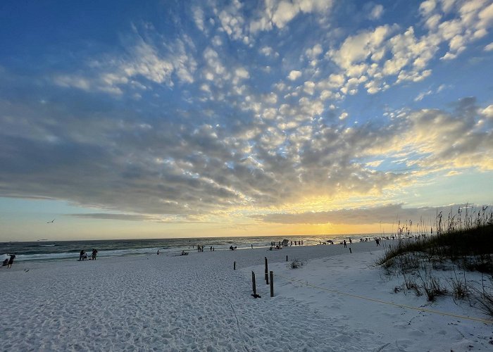 Henderson Beach State Park photo