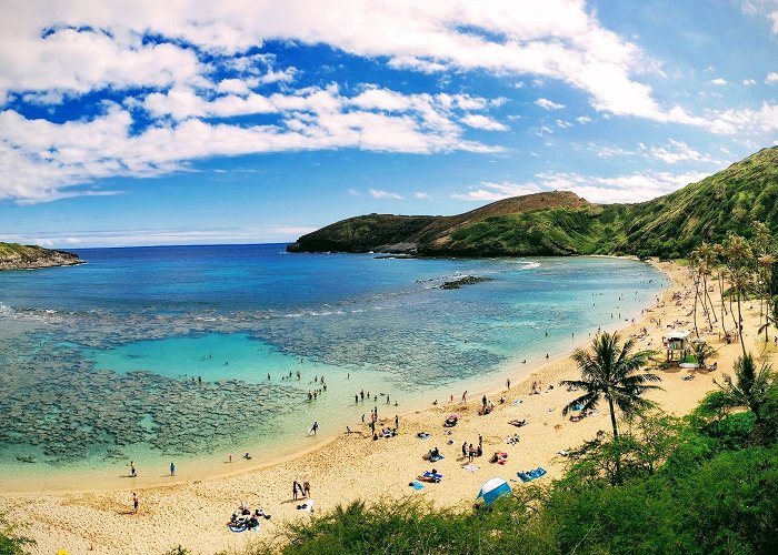 Hanauma Bay Nature Preserve photo