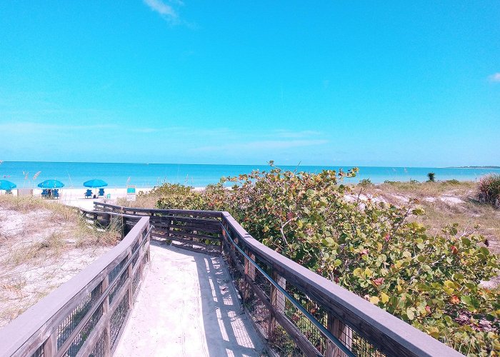 Honeymoon Island State Park photo