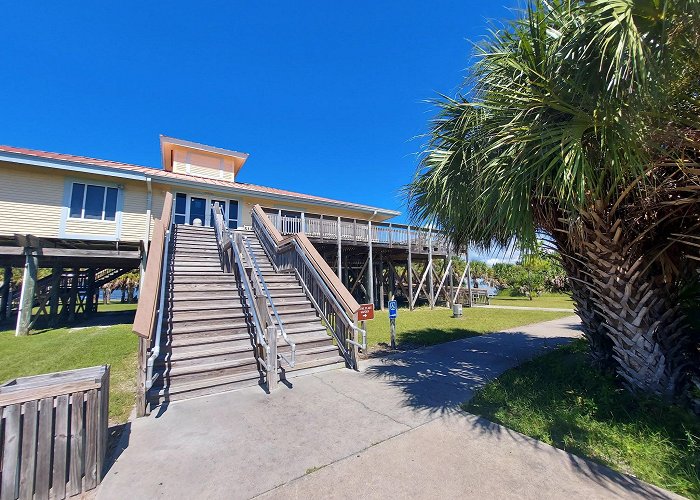 Honeymoon Island State Park photo