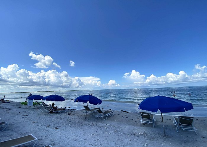 Honeymoon Island State Park photo