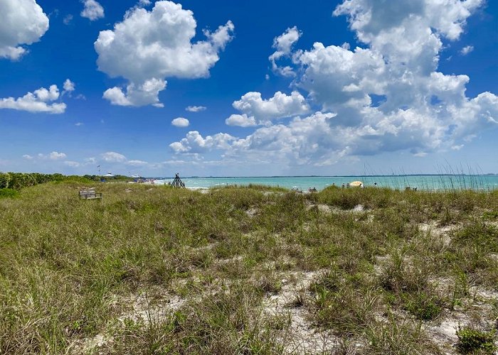 Honeymoon Island State Park photo