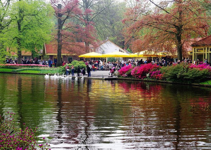 Keukenhof photo