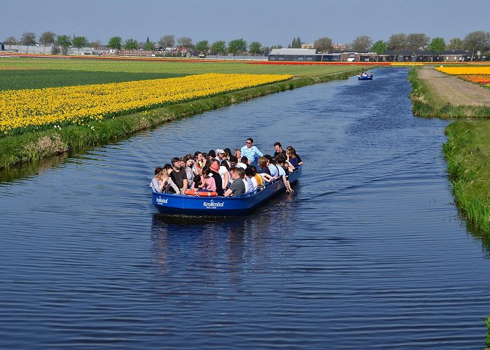 Keukenhof photo