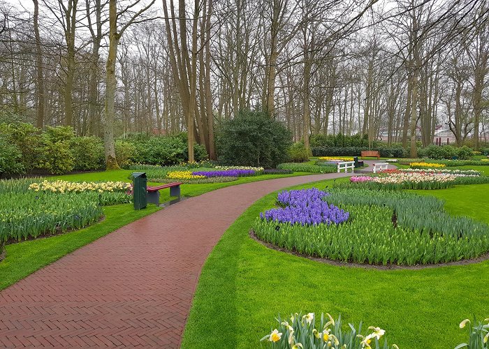 Keukenhof photo