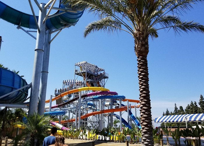 Knott's Soak City photo