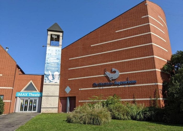 Maritime Aquarium at Norwalk photo