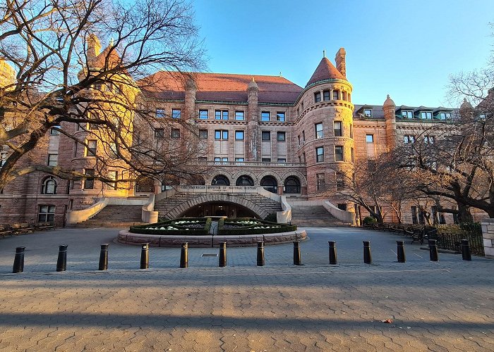 American Museum of Natural History photo