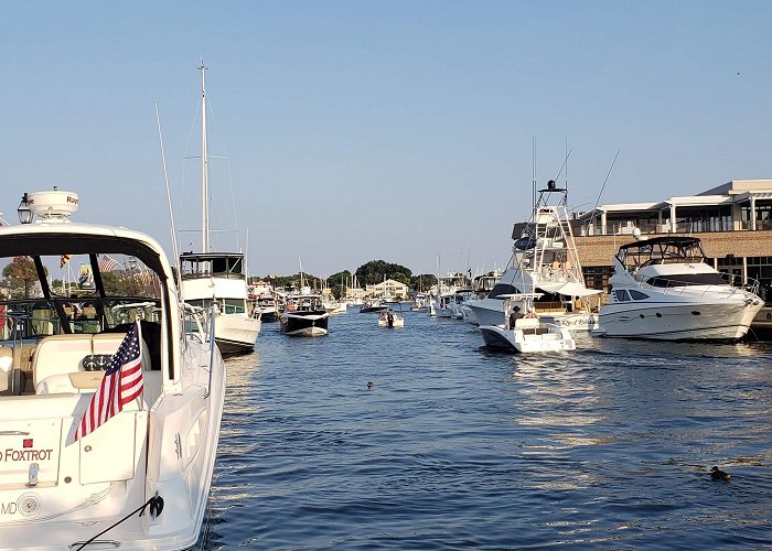 Annapolis Harbor photo