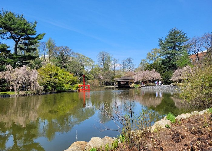 Brooklyn Botanical Gardens photo