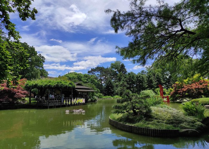 Brooklyn Botanical Gardens photo