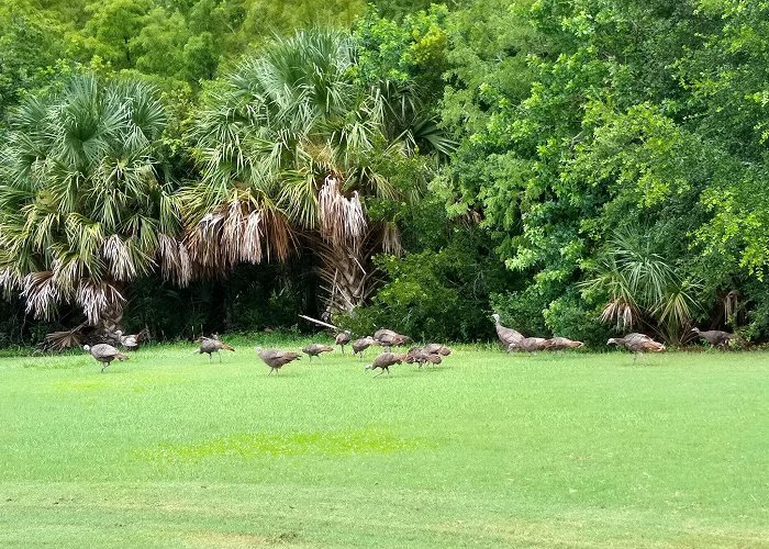 LPGA International Golf Club photo