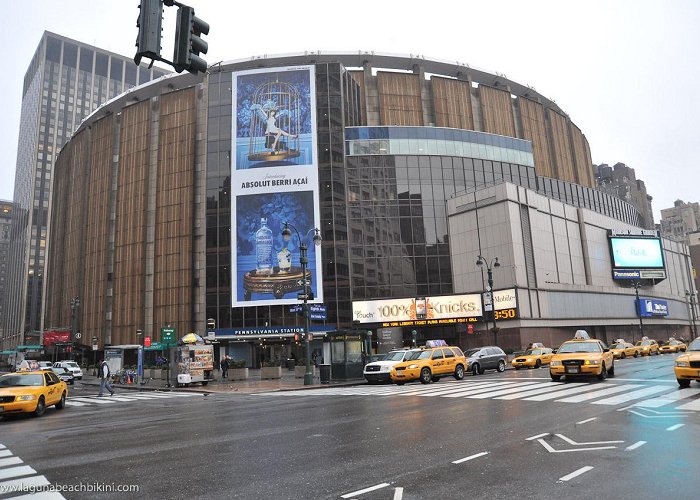 Madison Square Garden photo